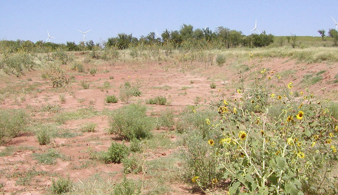 Pistol Range